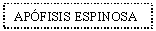 Text Box: APFISIS ESPINOSA
