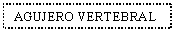 Text Box: AGUJERO VERTEBRAL