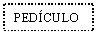 Text Box: PEDCULO