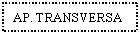 Text Box: AP. TRANSVERSA