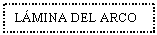 Text Box: LMINA DEL ARCO