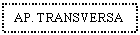 Text Box: AP. TRANSVERSA