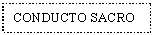 Text Box: CONDUCTO SACRO