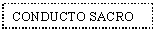 Text Box: CONDUCTO SACRO