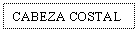 Text Box: CABEZA COSTAL