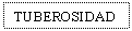 Text Box: TUBEROSIDAD