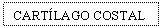 Text Box: CARTLAGO COSTAL