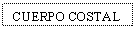 Text Box: CUERPO COSTAL