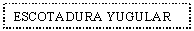 Text Box: ESCOTADURA YUGULAR
