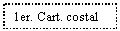Text Box: 1er. Cart. costal