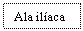 Text Box: Ala ilaca