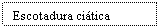 Text Box: Escotadura citica mayor