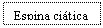 Text Box: Espina citica