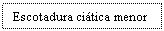 Text Box: Escotadura citica menor