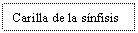 Text Box: Carilla de la snfisis