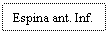 Text Box: Espina ant. Inf.