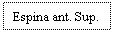 Text Box: Espina ant. Sup.
