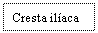 Text Box: Cresta ilaca