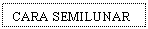 Text Box: CARA SEMILUNAR