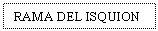 Text Box: RAMA DEL ISQUION