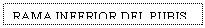 Text Box: RAMA INFERIOR DEL PUBIS