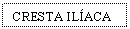 Text Box: CRESTA ILACA