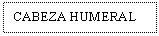 Text Box: CABEZA HUMERAL