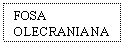 Text Box: FOSA OLECRANIANA