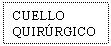Text Box: CUELLO QUIRRGICO