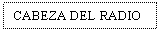 Text Box: CABEZA DEL RADIO