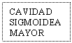 Text Box: CAVIDAD SIGMOIDEA MAYOR