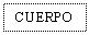 Text Box: CUERPO