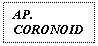Text Box: AP. CORONOIDES