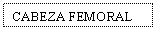 Text Box: CABEZA FEMORAL