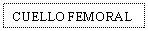Text Box: CUELLO FEMORAL