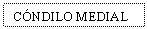 Text Box: CNDILO MEDIAL
