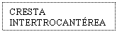 Text Box: CRESTA INTERTROCANTREA