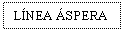 Text Box: LNEA SPERA
