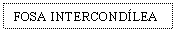 Text Box: FOSA INTERCONDLEA