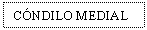 Text Box: CNDILO MEDIAL