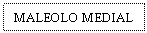 Text Box: MALEOLO MEDIAL