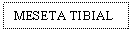 Text Box: MESETA TIBIAL