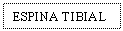 Text Box: ESPINA TIBIAL