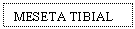 Text Box: MESETA TIBIAL