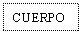 Text Box: CUERPO