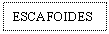 Text Box: ESCAFOIDES