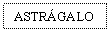 Text Box: ASTRGALO
