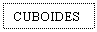 Text Box: CUBOIDES