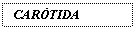 Text Box: CARTIDA INTERNA