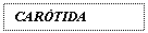 Text Box: CARTIDA EXTERNA